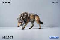 1/6 Scale North American Gray Wolf (brown)