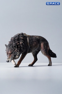 1/6 Scale North American Gray Wolf (black)