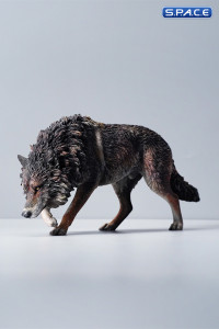 1/6 Scale North American Gray Wolf (black)