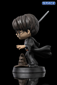 Harry Potter with Sword of Gryffindor MiniCo. Vinyl Figure (Harry Potter)