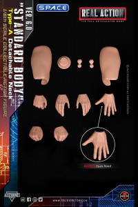 1/6 Scale Real Type 6.0 Action Body with detachable Neck Type-A