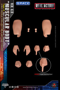 1/6 Scale muscular Real Type 6.0 Action Body Type-C
