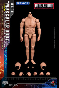 1/6 Scale muscular Real Type 6.0 Action Body Type-C