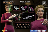 1/6 Scale Seven of Nine (Star Trek: Voyager)