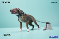 1/6 Scale American Pit Bull Terrier (brown)