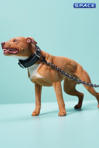 1/6 Scale American Pit Bull Terrier (red)