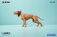 1/6 Scale American Pit Bull Terrier (red)
