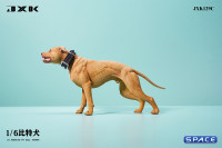 1/6 Scale American Pit Bull Terrier (yellow)