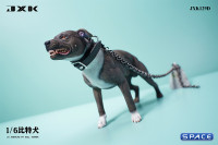 1/6 Scale American Pit Bull Terrier (black)