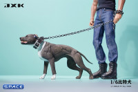 1/6 Scale American Pit Bull Terrier (black)