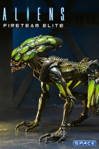 2er Komplettsatz: Aliens: Fireteam Elite Serie 2 (Aliens: Fireteam Elite)