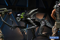 Complete Set of 2: Aliens: Fireteam Elite Series 2 (Aliens: Fireteam Elite)