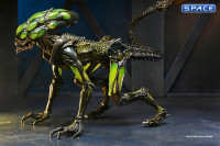 Complete Set of 2: Aliens: Fireteam Elite Series 2 (Aliens: Fireteam Elite)