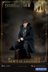 Newt Scamander Dynamic 8ction Heroes (Fantastic Beasts: The Secrets of Dumbledore)