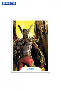 Hawkman from Black Adam Movie (DC Multiverse)