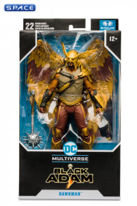 Hawkman from Black Adam Movie (DC Multiverse)