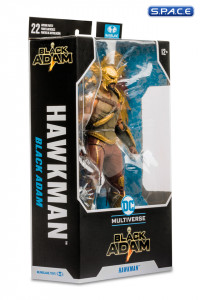 Hawkman from Black Adam Movie (DC Multiverse)