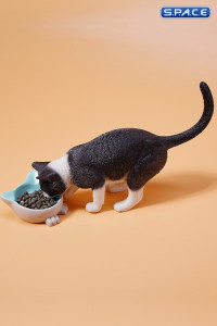 1/6 Scale eating Cat Version A (black)