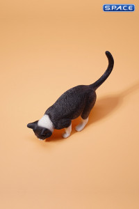 1/6 Scale eating Cat Version A (black)
