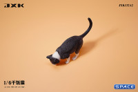 1/6 Scale eating Cat Version A (black)