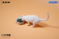 1/6 Scale eating Cat Version A (white)