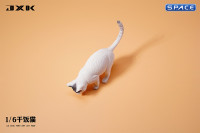 1/6 Scale eating Cat Version A (white)