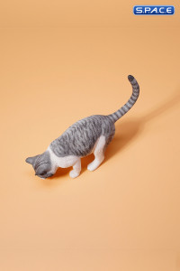 1/6 Scale eating Cat Version A (grey)