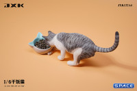 1/6 Scale eating Cat Version A (grey)