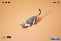 1/6 Scale eating Cat Version A (grey)