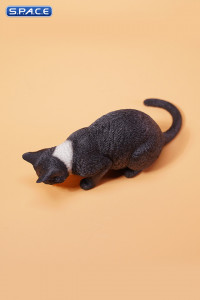 1/6 Scale eating Cat Version B (black)