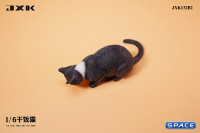 1/6 Scale eating Cat Version B (black)