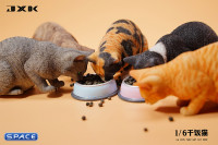 1/6 Scale eating Cat Version B (black)