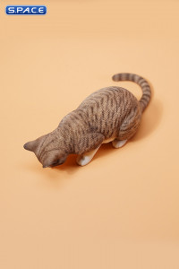 1/6 Scale eating Cat Version B (brown)