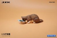 1/6 Scale eating Cat Version B (brown)