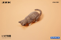 1/6 Scale eating Cat Version B (brown)