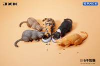 1/6 Scale eating Cat Version B (brown)