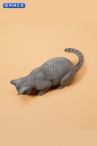 1/6 Scale eating Cat Version B (grey)