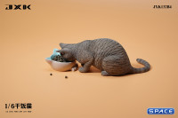 1/6 Scale eating Cat Version B (grey)