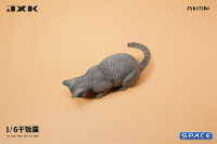 1/6 Scale eating Cat Version B (grey)