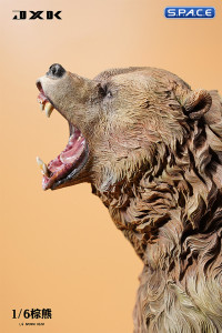 1/6 Scale brown bear Version A