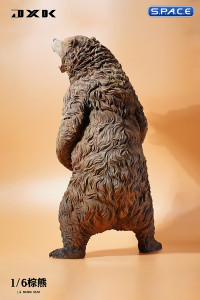 1/6 Scale brown bear Version A