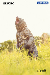 1/6 Scale brown bear Version A