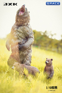 1/6 Scale brown bear Version B