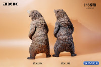 1/6 Scale brown bear Version B