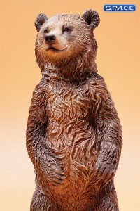 1/6 Scale little brown bear Version A2