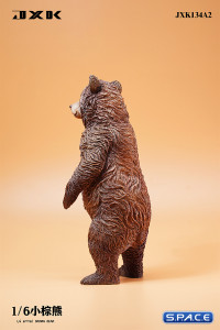 1/6 Scale little brown bear Version A2