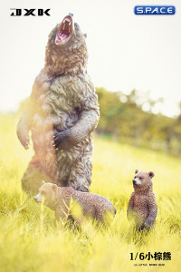 1/6 Scale little brown bear Version A2