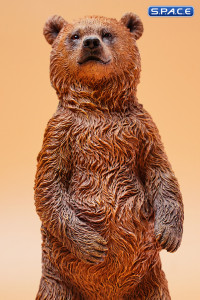 1/6 Scale little brown bear Version A3