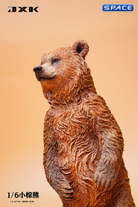 1/6 Scale little brown bear Version A3