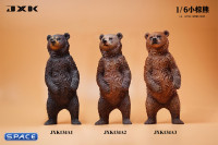 1/6 Scale little brown bear Version A3